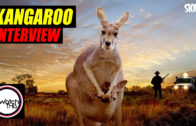 “Aussie Sporting Teams Use The Kangaroo Even Though Many People View Them As Pests”